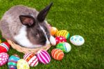 Rabbit And Easter Eggs In Green Grass Stock Photo