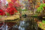 Wooden Bridge Surrounded By Autumn Colors Stock Photo