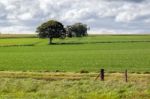 Arable Farming Field Near Munlochy Stock Photo