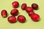 Coffee Beans On A Coffee Plantation Stock Photo