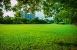 Beautiful Morning Sun Shining Light In Public Park With Green Grass Field And Green Fresh Tree Plant Perspective Use As Copy Space And Natural Background,backdrop Stock Photo