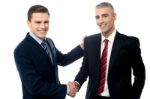 Successful Businessmen Shaking Hands Stock Photo