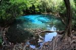 Emerald Pool (sra Morakot) Stock Photo