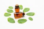 Mint Essential Oil In A Glass Bottle With Leaves On White Backgr Stock Photo