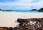 Old Driftwood At The Beach On Island In Thailand Stock Photo