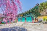 Gyeongbokgung Palace With Cherry Blossom In Spring,korea Stock Photo