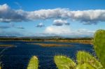 Beautiful Marshlands Stock Photo