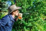 Young Man Blowing Foam From A Beer In A Mug Stock Photo