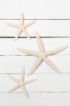 Three White Starfish Stock Photo