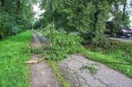 Tree Broken By A Storm Lies On The Road Stock Photo