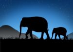 Abstract Of Elephant Family Stock Photo