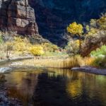 Reflections In The Virgin River Stock Photo