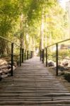 The Bamboo Bridge Through Nature In Forest Stock Photo