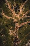 Beautiful Tree Located In Brisbane City Covered In Lights Stock Photo