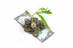 Tree Growing In A Pile Of Money Stock Photo