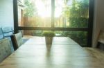 Simply Plant Bucket Decorated On Wooden Table Stock Photo