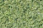 Green Fake Grass Background Stock Photo