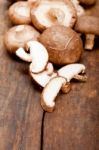 Shiitake Mushrooms Stock Photo