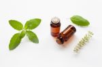 Holy Basil Essential Oil With  Fresh Leaves Stock Photo