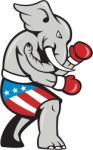 Elephant Mascot Boxer Boxing Side Cartoon Stock Photo