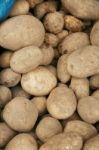 Potatoes  Stock Photo