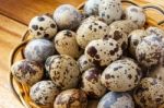 Quail Eggs Stock Photo