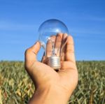 Lightbulb In Hand Stock Photo