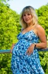 The Young Pregnant Woman Stock Photo