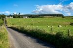 Farm Near Culloden Stock Photo