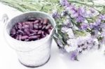 Red Kidney Bean And Static Flower Stock Photo