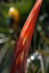 Abstract Orange Glass Art Piece Stock Photo