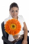 Lovely Girl Showing Orange Gerbera Flower Stock Photo