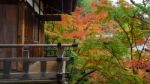 Wooden Building And Autumn Leaves At Eikando, Kyoto Stock Photo