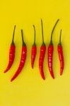 Red Hot Chili Pepper  Stock Photo