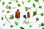 Holy Basil Essential Oil In A Glass Bottle With Fresh Holy Basil Stock Photo