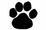 Paw Print Icon On White Stock Photo