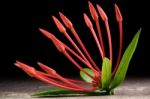 Ixora Flower With Leaves Isolate In Black Stock Photo