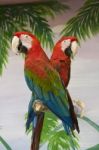 Two Macaws Stock Photo