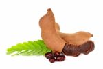 Tamarind Isolated On The White Background Stock Photo