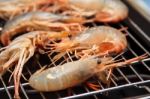 Grilled Prawns On The Grill Stock Photo