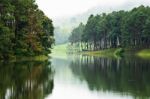 Morning Atmosphere Campsite On A Lake In The Pine Forest Stock Photo