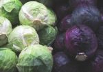 Red And White Cabbages Stock Photo