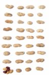 Peanuts Spreaded On A White Background Stock Photo