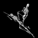 Skeleton Stock Photo