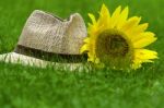 Straw Hat And Sunflower Stock Photo