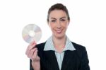 Attractive Woman In Formals Holding Cd Stock Photo