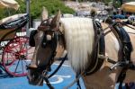 Mijas, Andalucia/spain - July 3 : Horse And Carriage In Mijas An Stock Photo