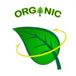 Eco Friendly Represents Organic Products And Conservation Stock Photo