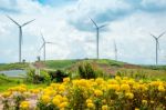 Windmills New Energy With Spring Flower On The Mountain Stock Photo