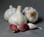 Garlic Stock Photo